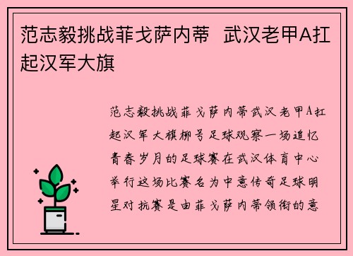 范志毅挑战菲戈萨内蒂  武汉老甲A扛起汉军大旗